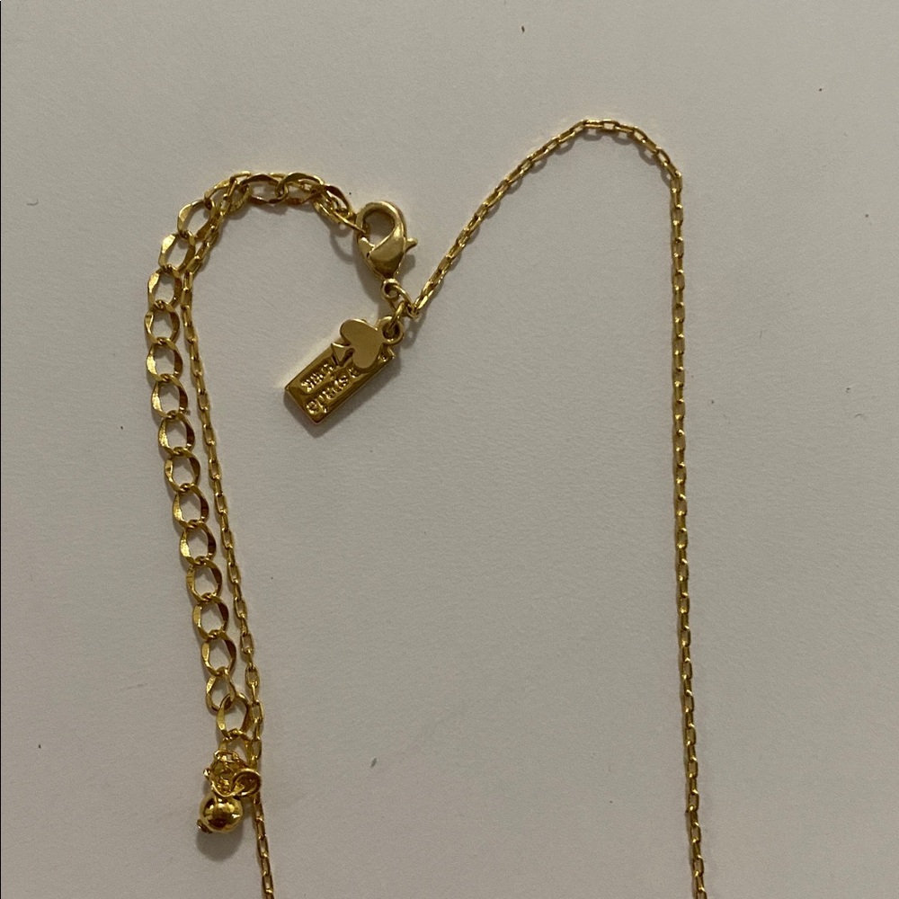 Kate Spade Gold Chain Necklace and Earrings - Picture 7 of 7